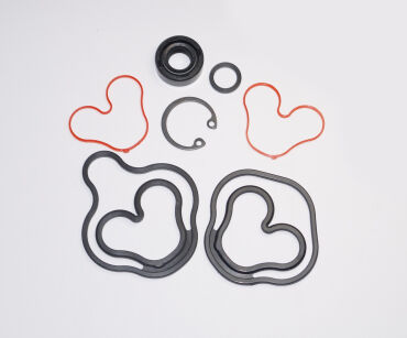 Komplet uszczelnień do zamienników pomp HS1PS typu Marzocchi, Haldex, Bosch, Caproni