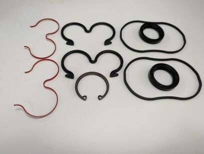 Zestaw naprawczy do pompy 87020098